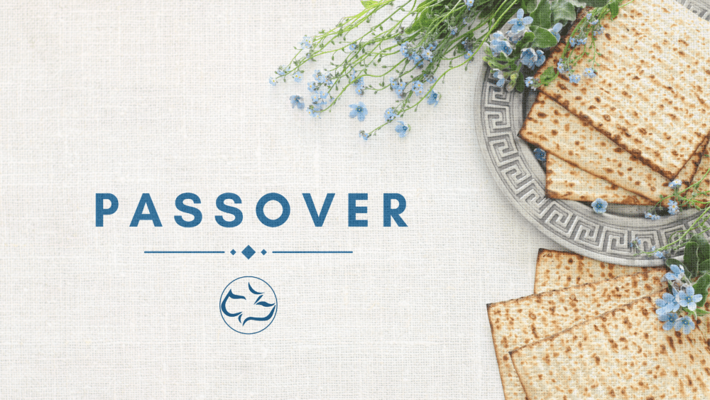 Messiah in the Passover Image