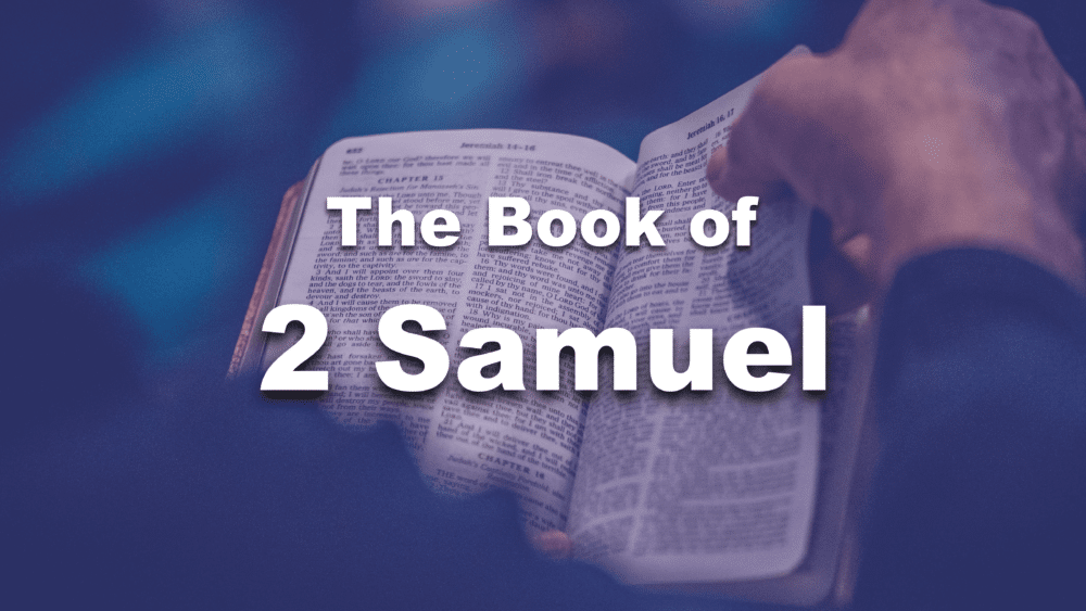The Dead Dog Gospel | 2 Samuel 8 Image